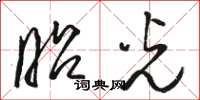 骆恒光昭光草书怎么写