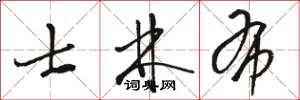 骆恒光士林布草书怎么写