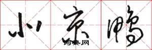 骆恒光北京鸭草书怎么写