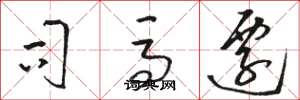 骆恒光司马迁草书怎么写