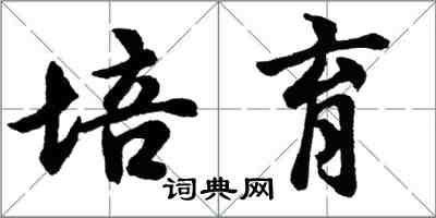 胡问遂培育行书怎么写
