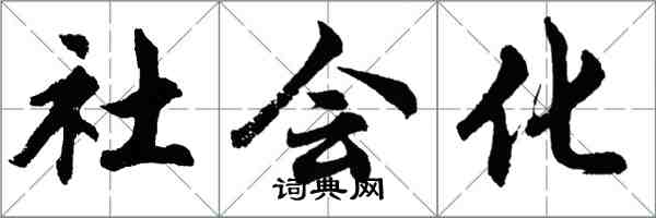 胡问遂社会化行书怎么写