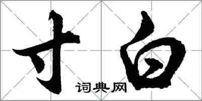 胡问遂寸白行书怎么写