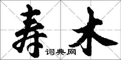 胡问遂寿木行书怎么写