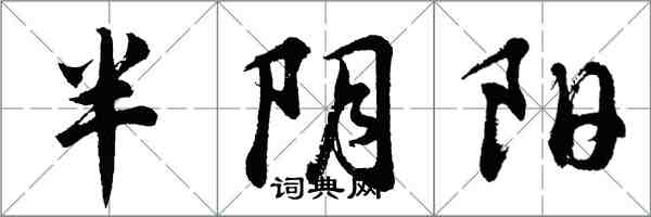 胡问遂半阴阳行书怎么写