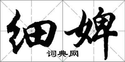 胡问遂细婢行书怎么写