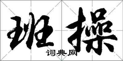 胡问遂班操行书怎么写