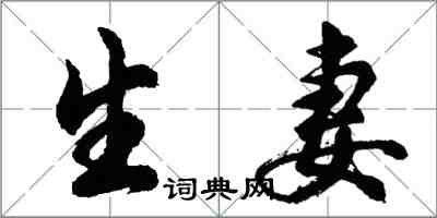 胡问遂生妻行书怎么写
