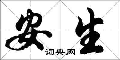 胡问遂安生行书怎么写