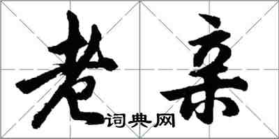 胡问遂老亲行书怎么写