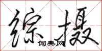 骆恒光综摄行书怎么写