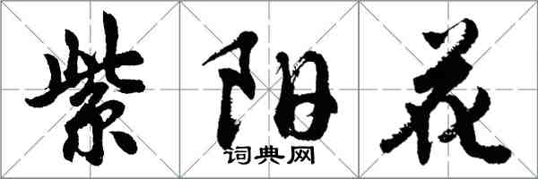 胡问遂紫阳花行书怎么写