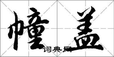 胡问遂幢盖行书怎么写