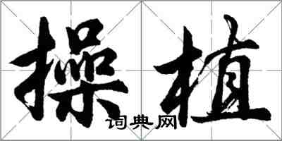 胡问遂操植行书怎么写