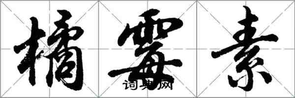 胡问遂橘霉素行书怎么写