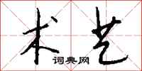 钱沛云术艺行书怎么写