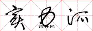 王冬龄实力派草书怎么写