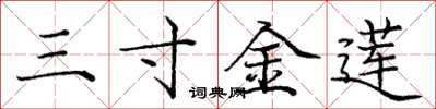 庞中华三寸金莲楷书怎么写