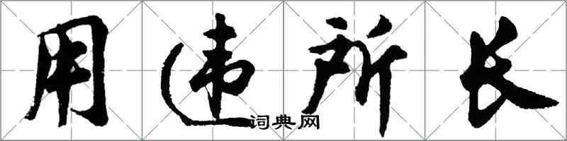 胡问遂用违所长行书怎么写