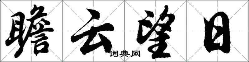 胡问遂瞻云望日行书怎么写