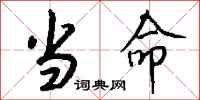 钱沛云当命行书怎么写