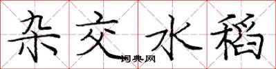 庞中华杂交水稻楷书怎么写