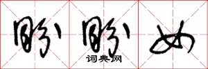 王冬龄盼盼女草书怎么写