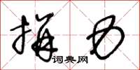 王冬龄拼力草书怎么写