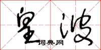 王冬龄皇波草书怎么写