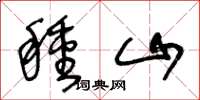 王冬龄种山草书怎么写