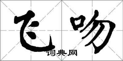 翁闿运飞吻楷书怎么写