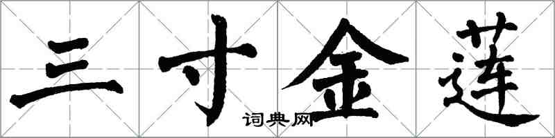 翁闿运三寸金莲楷书怎么写
