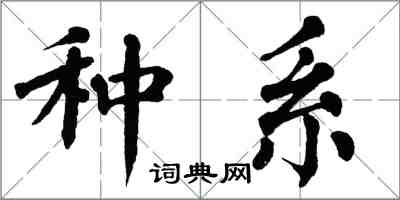 翁闿运种系楷书怎么写