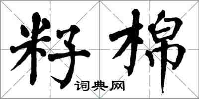 翁闿运籽棉楷书怎么写
