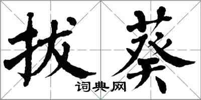 翁闿运拔葵楷书怎么写