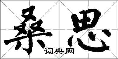 翁闿运桑思楷书怎么写