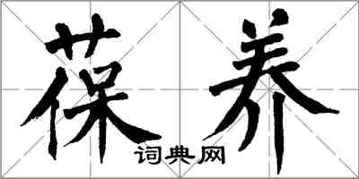 翁闿运葆养楷书怎么写