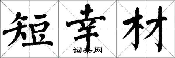 翁闿运短幸材楷书怎么写
