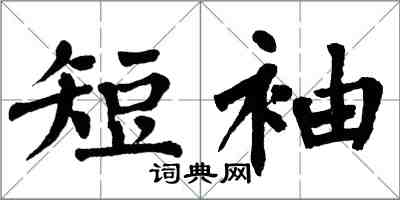 翁闿运短袖楷书怎么写
