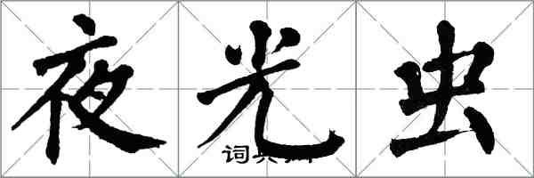 翁闿运夜光虫楷书怎么写