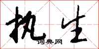 钱沛云执生行书怎么写