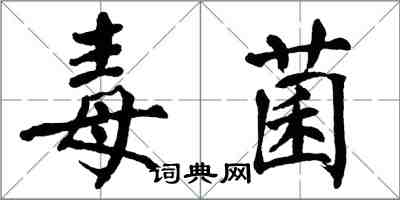 翁闿运毒菌楷书怎么写