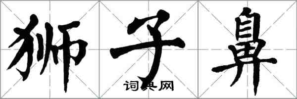 翁闿运狮子鼻楷书怎么写