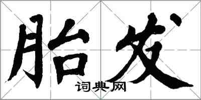 翁闿运胎发楷书怎么写