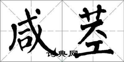 翁闿运咸茎楷书怎么写