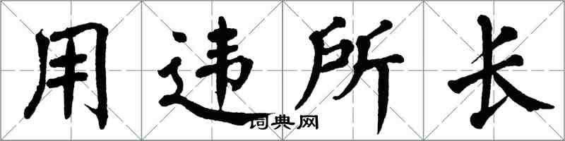 翁闿运用违所长楷书怎么写