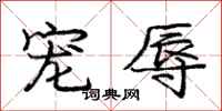 庞中华宠辱行书怎么写