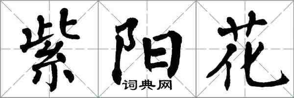 翁闿运紫阳花楷书怎么写