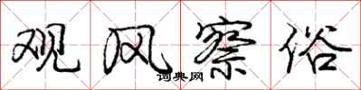 庞中华观风察俗行书怎么写