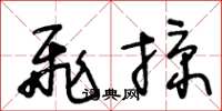 王冬龄飞掠草书怎么写